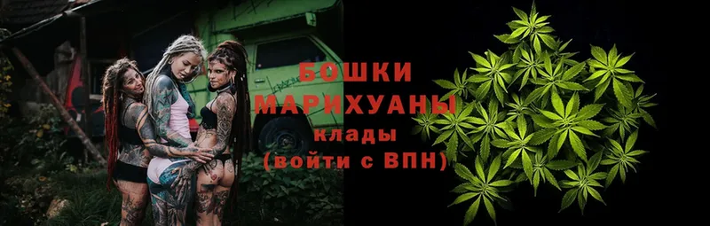 МАРИХУАНА LSD WEED  даркнет сайт  Каменногорск 